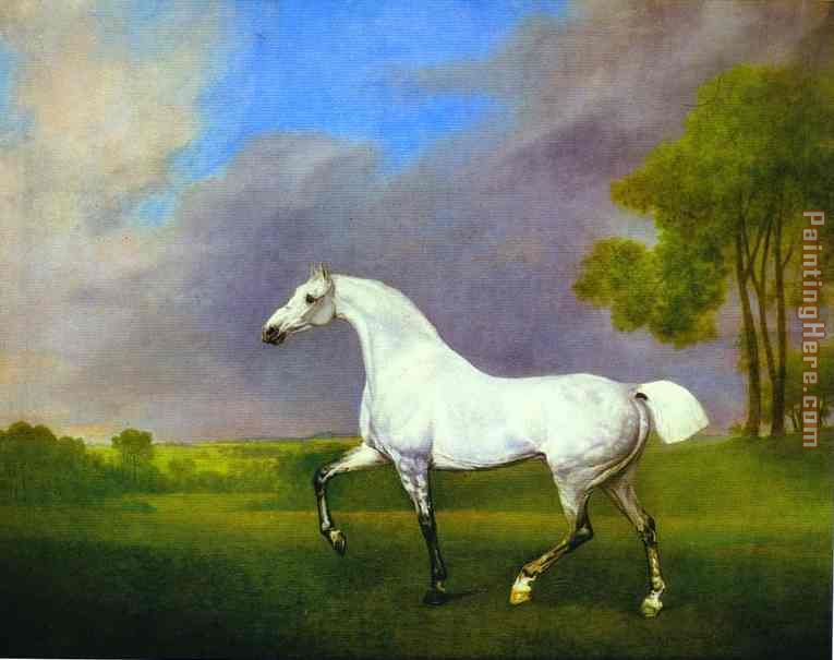 A Grey Horse painting - George Stubbs A Grey Horse art painting